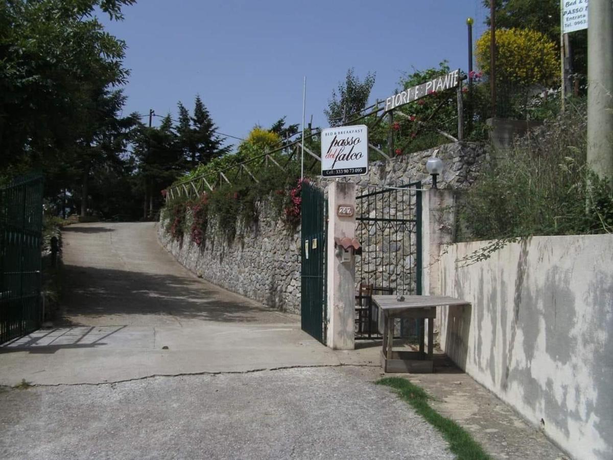 B&B Passo Del Falco Sorianello Екстериор снимка