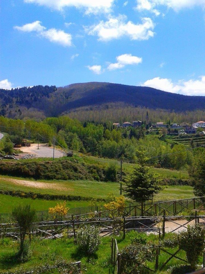 B&B Passo Del Falco Sorianello Екстериор снимка