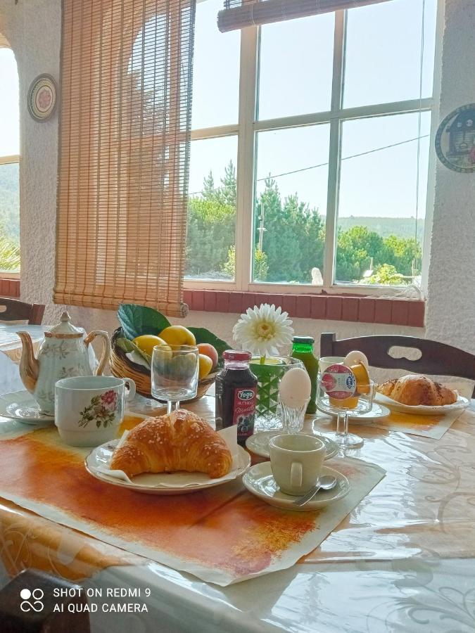 B&B Passo Del Falco Sorianello Екстериор снимка