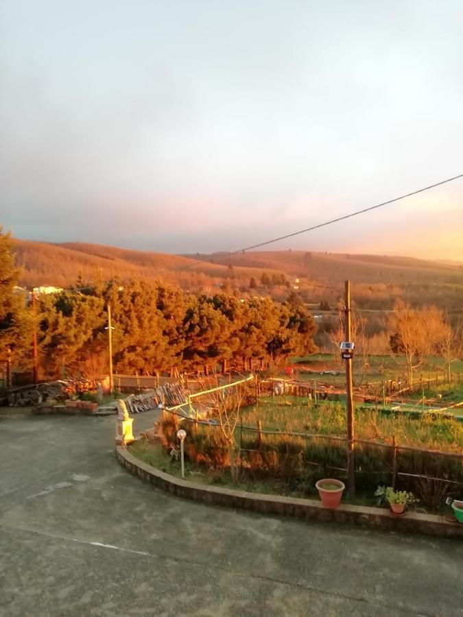 B&B Passo Del Falco Sorianello Екстериор снимка
